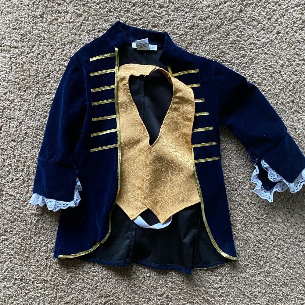 BEAST/Prince Adam costume